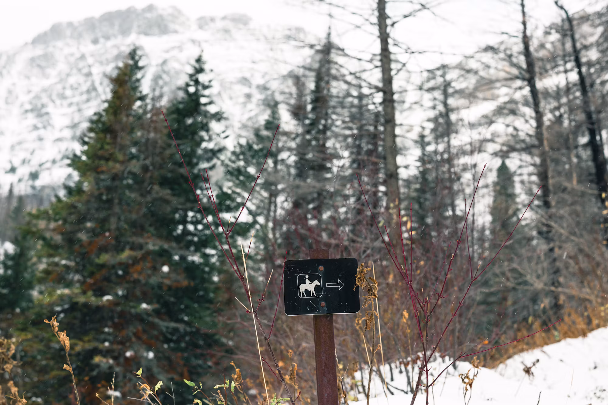 Exploring the Great Outdoors: A Guide to Nature’s Best Adventures